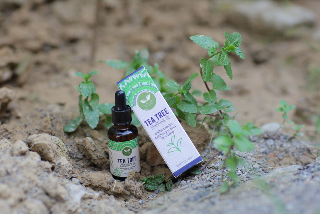 Oriiganic Tea Tree Essential Oil 30ml – 100% Pure & Natural