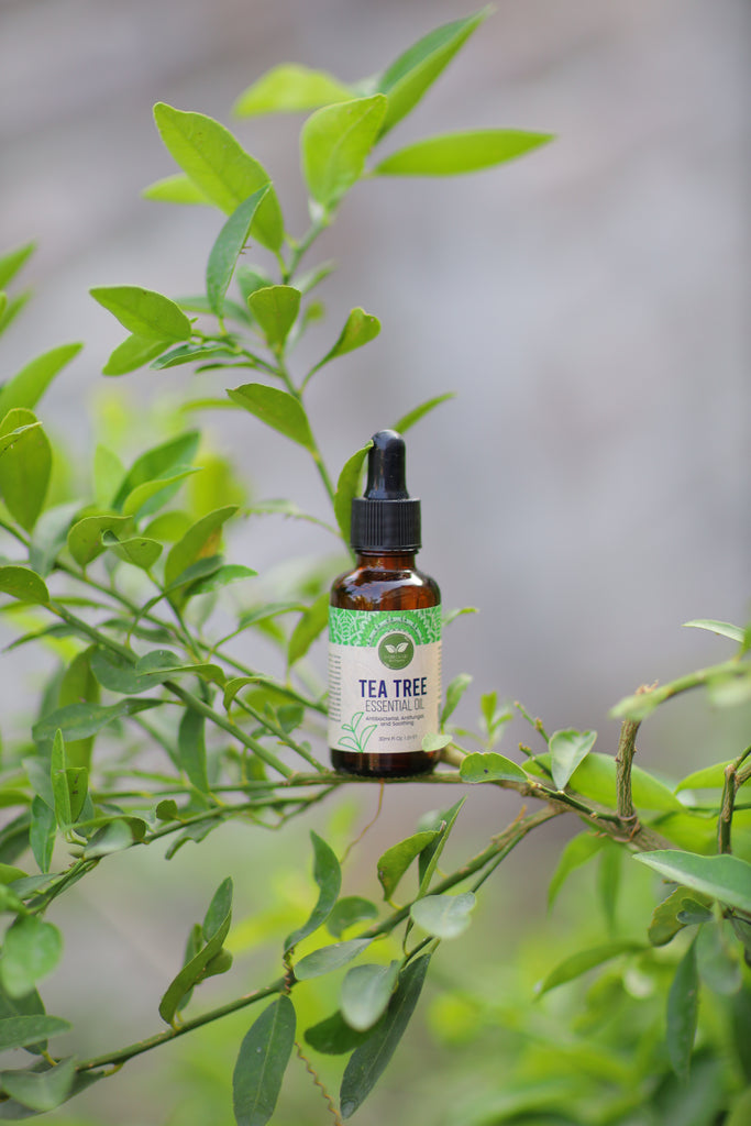 Oriiganic Tea Tree Essential Oil 30ml – 100% Pure & Natural
